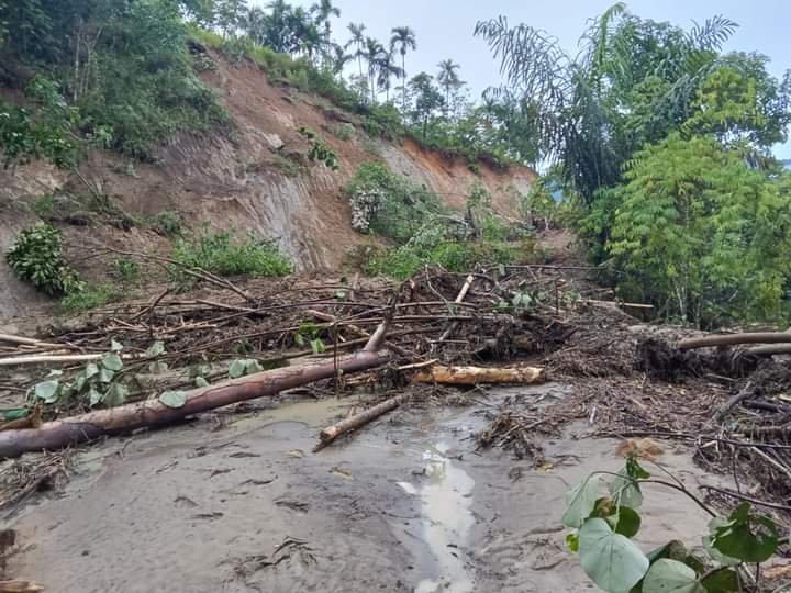 Cuaca Ekstrem di Dairi Sebabkan Bencana Longsor dan Pohon Tumbang