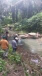 Warga sangat Resahkan limbah PKS mencemari Air Sungai,  Ini Pernyataan dan Bantahan  Humas PT Ukindo 